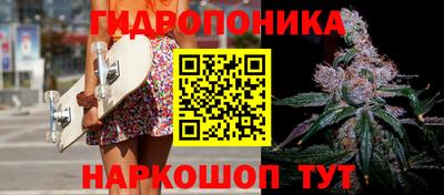 дмт Заводоуковск