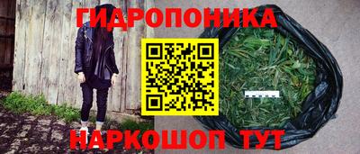 дмт Заводоуковск