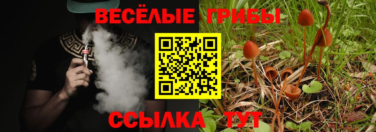 Минусинск  Галлюциногенные грибы GOLDEN TEACHER  Вход с VPN 
